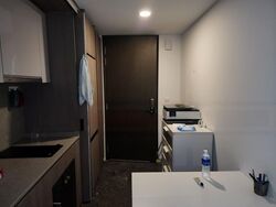 Avenue South Residence (D3), Apartment #450214721
